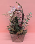 Orchideen Herz